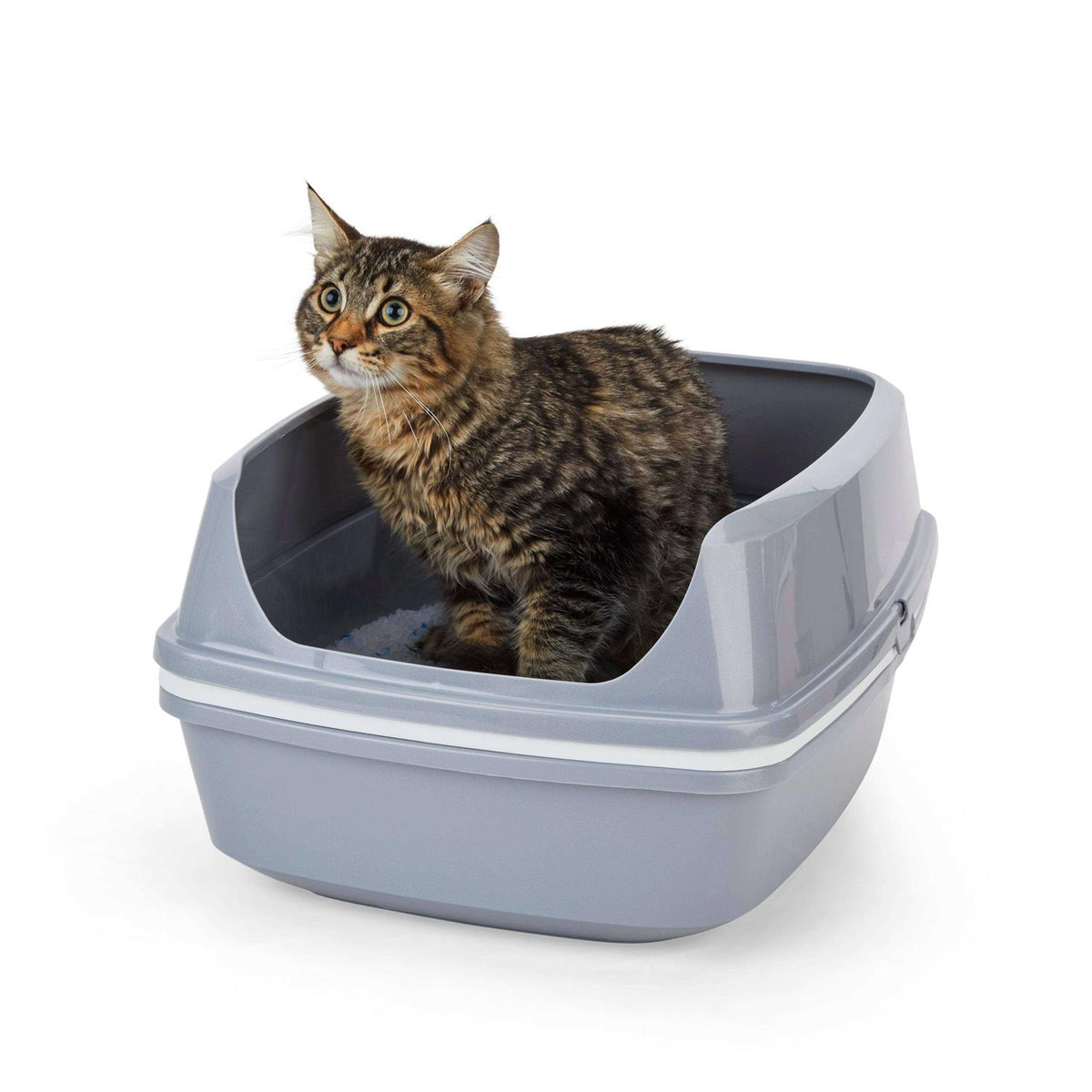 Grey & White Lift-to-Sift Cat Litter Pan G90269