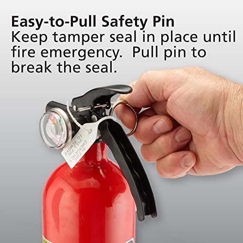 1 Pack Red Multi Purpose Fire Extinguisher 1A10BC S811787