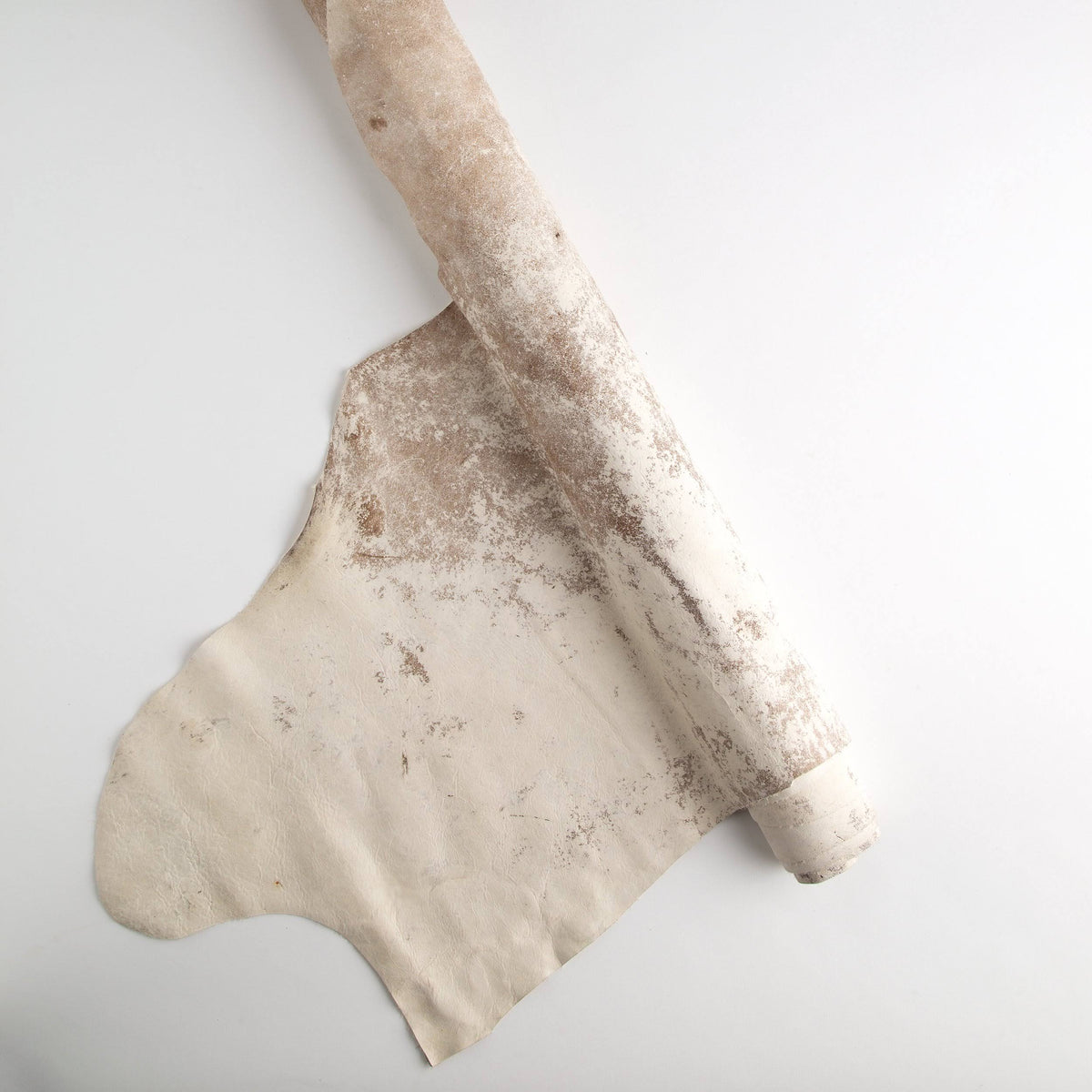 Cowhide Sides Q16569