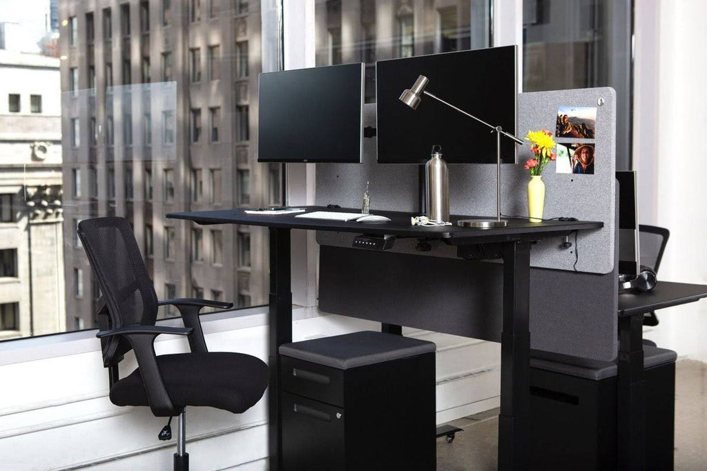 Desktop Privacy Panel 2 Pack A48376