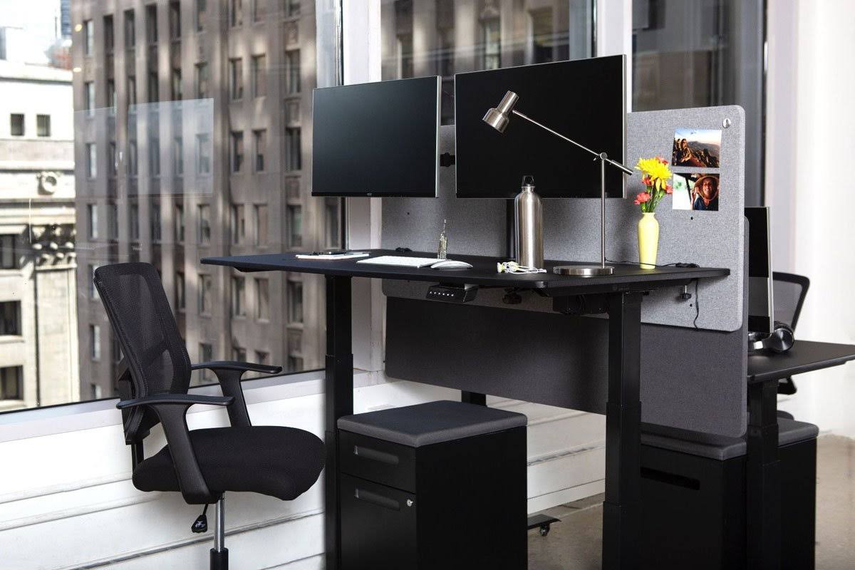 Desktop Privacy Panel 2 Pack A48376