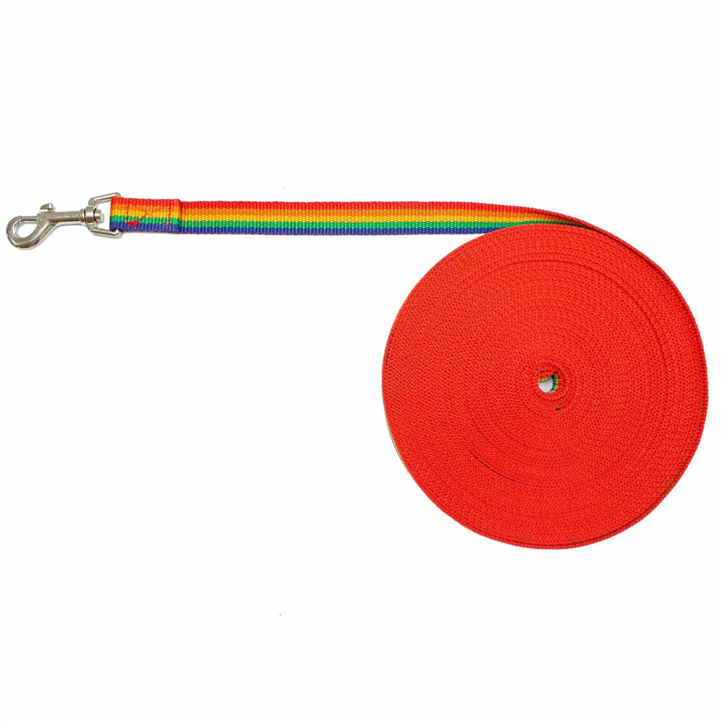 Long Lead Leash L47798