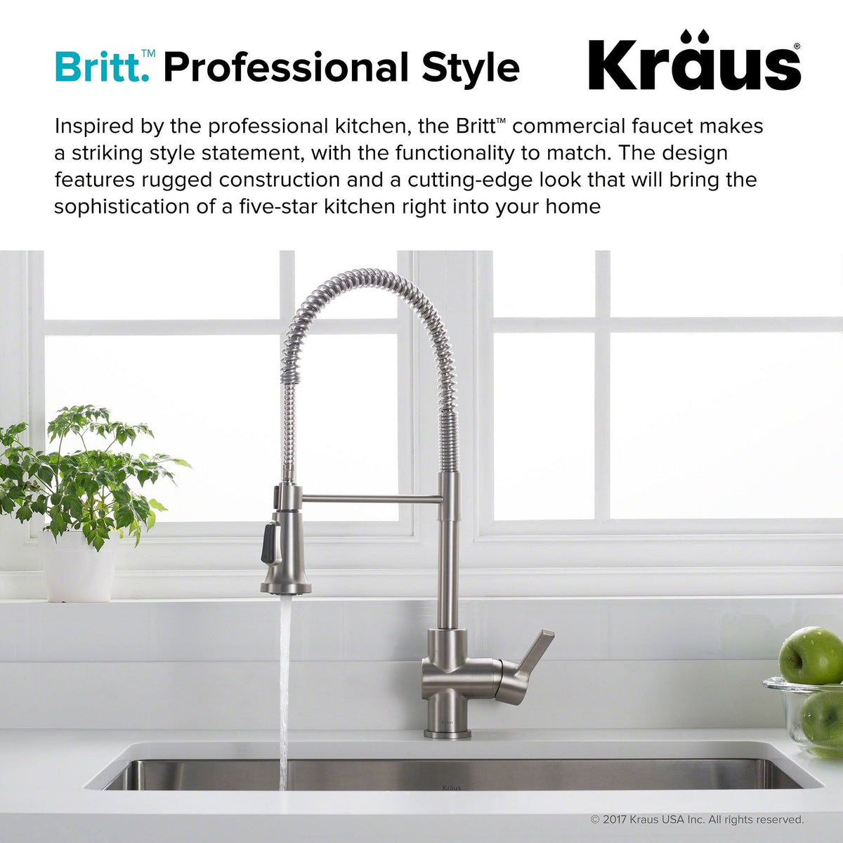 Brushed Gold Commercial Style Kitchen Faucet and Water Filter Faucet Combo S8309