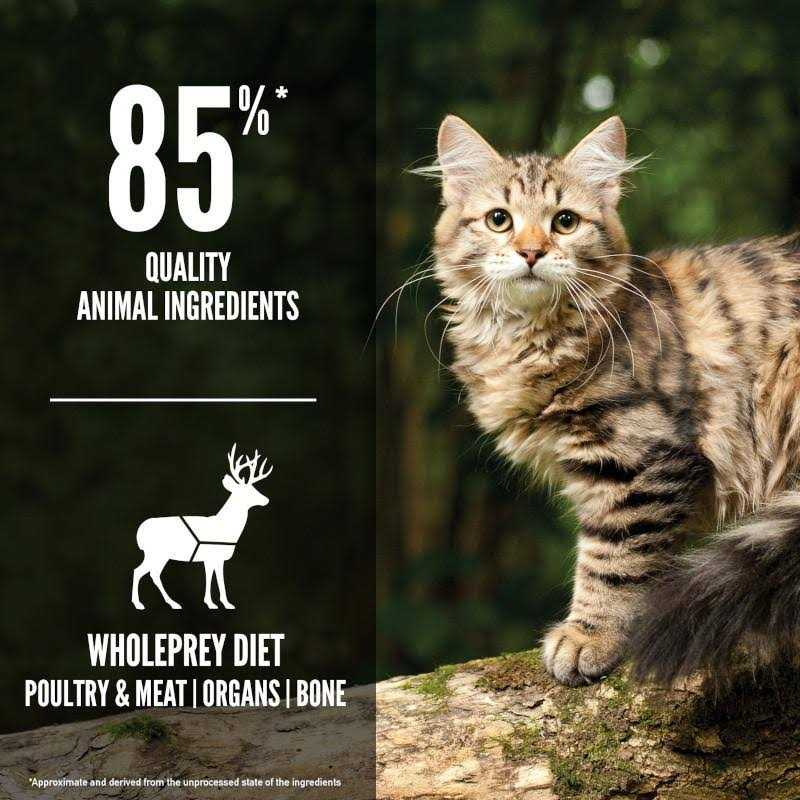 Cat Food F300807