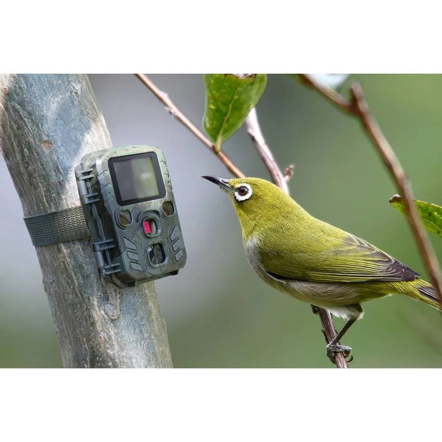 Mini Nature Wild Cam Camera Trap 1080p D3684