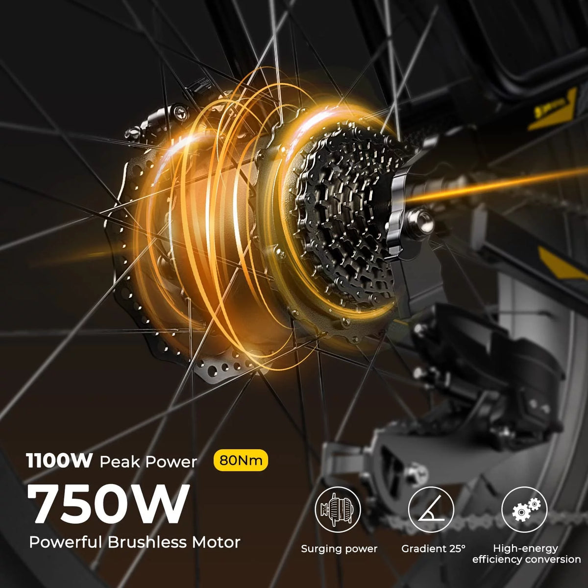 Foldable 20 Fat Tire Electric Bike with 750W Motor B7326