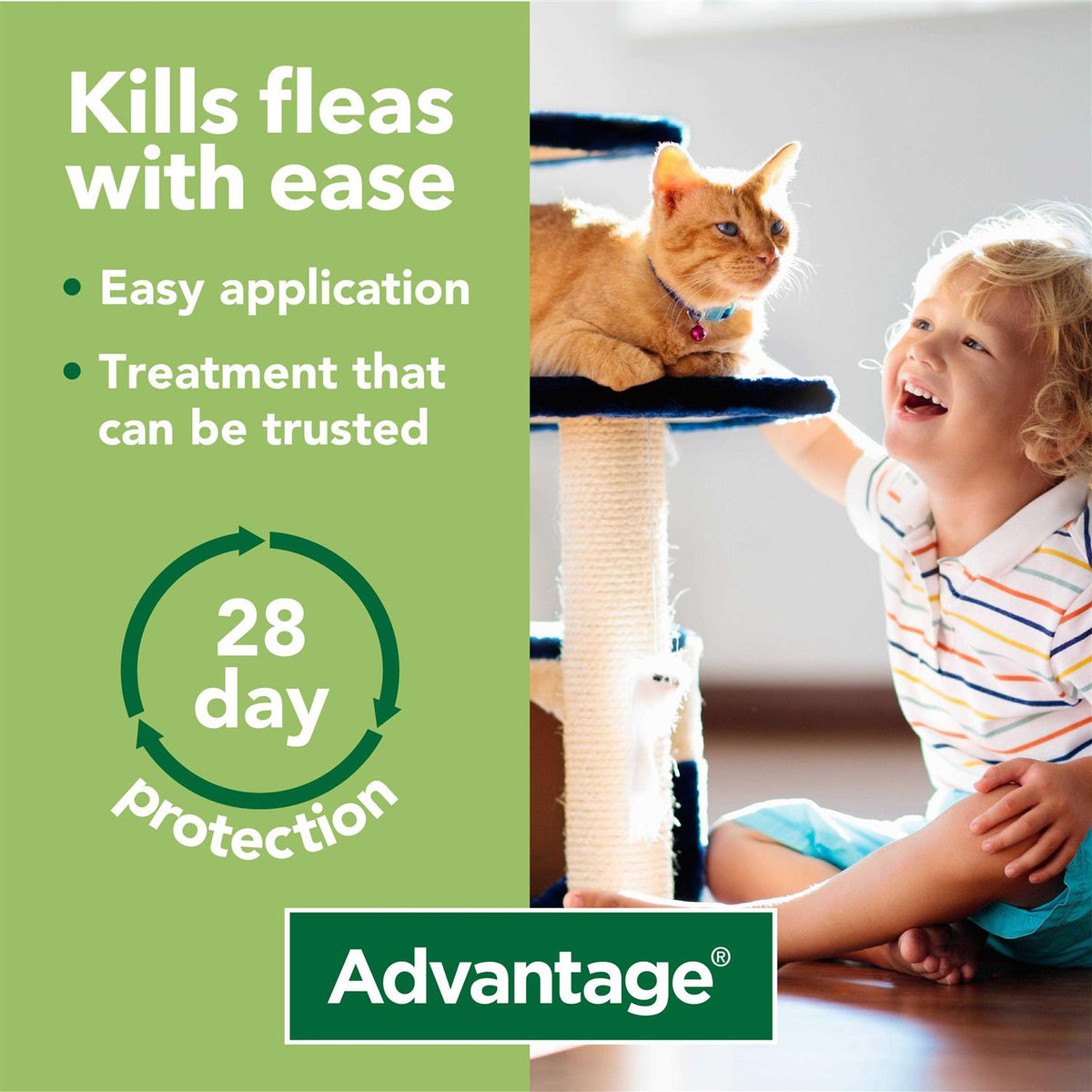 Spot-On for Small Cats H4575