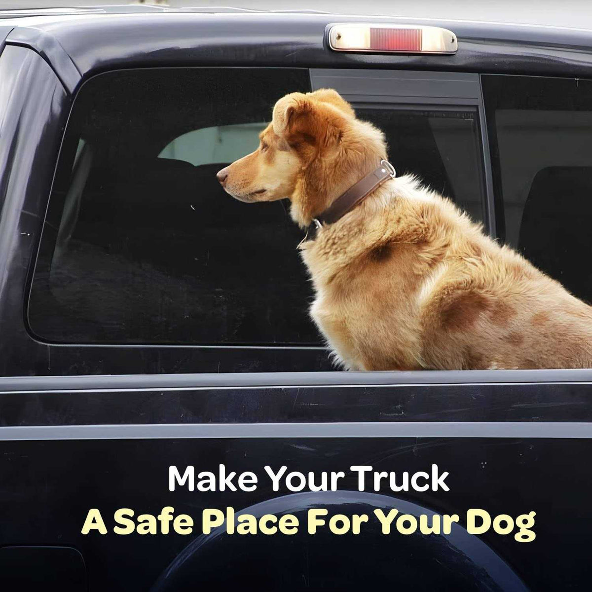 Dog Truck Bed Leash Tether D473