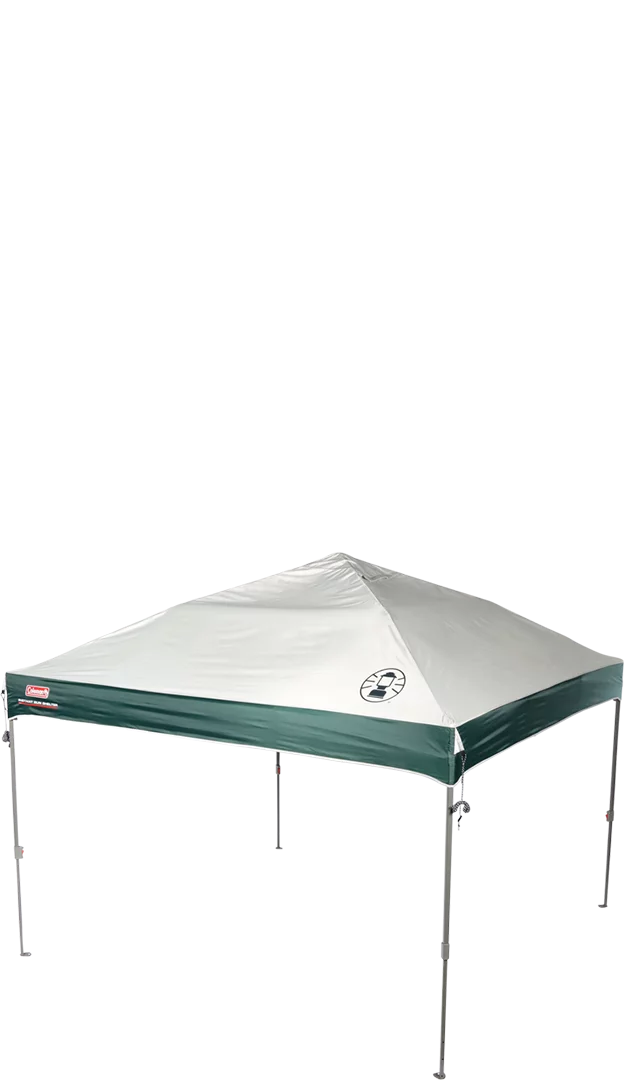 10 x 10 Tan Black Canopy Shelter N8246