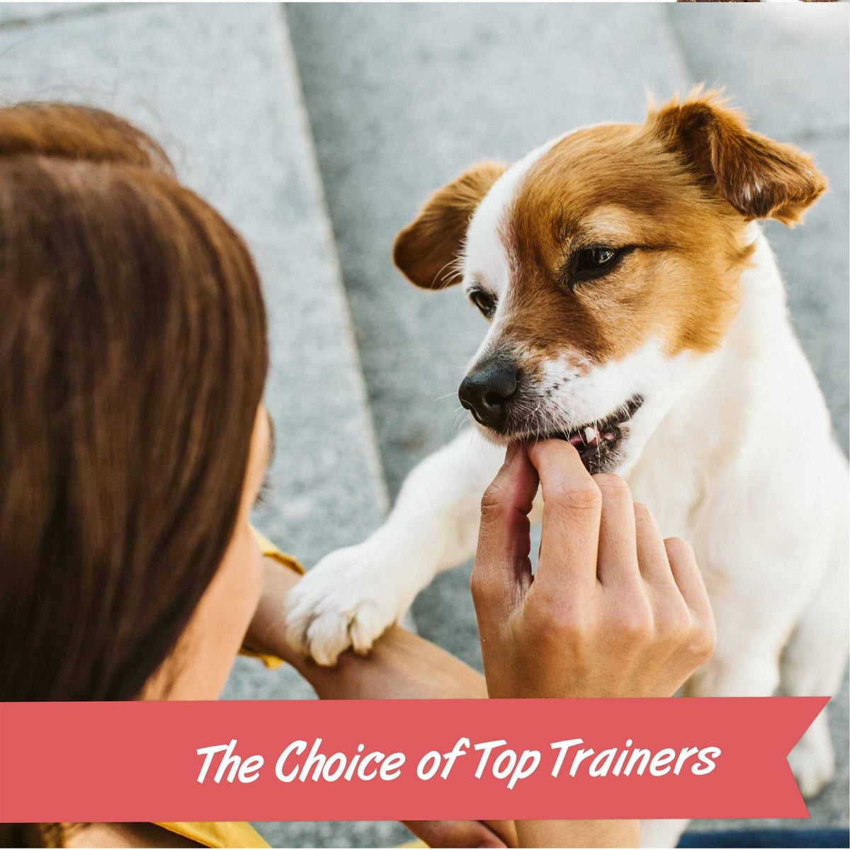 Training Rewards Dog Treats W876111