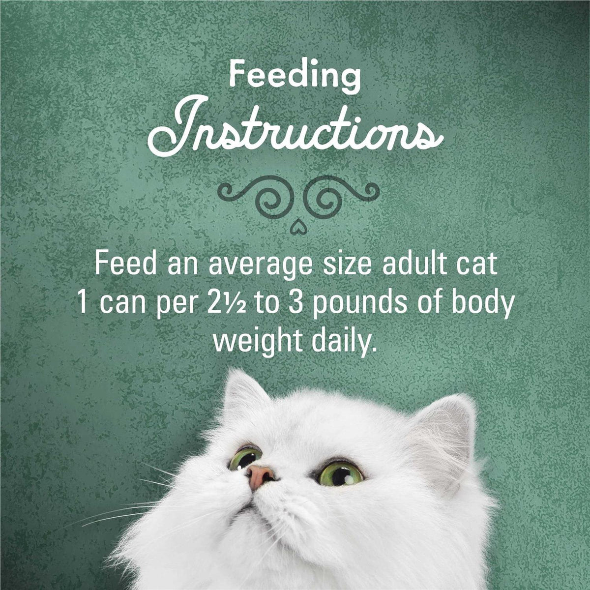 Wet Cat Food P95214
