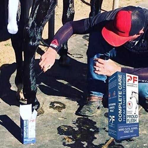 2 oz. Equine Wound Paste R481671