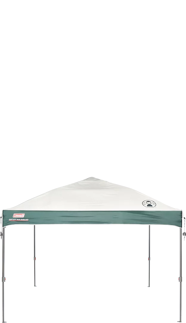 10 x 10 Tan Black Canopy Shelter N8246