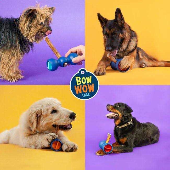 Bully Sticks H366