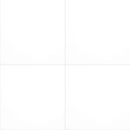 White 24 in. x 24 in. Polished Porcelain Floor and Wall Tile T5349