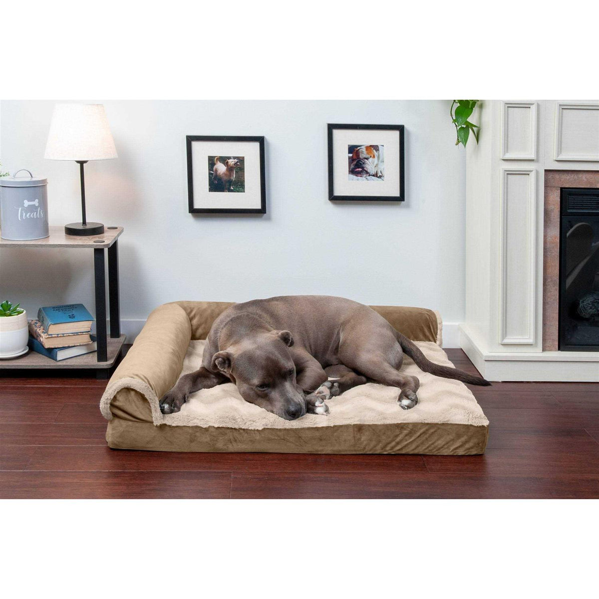 Velvet Chaise Lounge Dog Bed X27475
