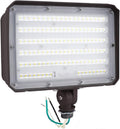 100W LED Flood Light with Knuckle Mount, IP65 Waterproof, 5000K Daylight E505