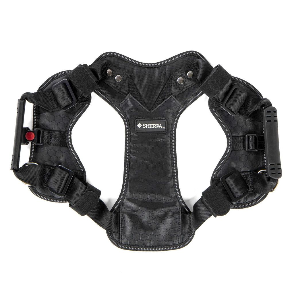 Sherpa Crash Tested Seatbelt Safety Harness D24685