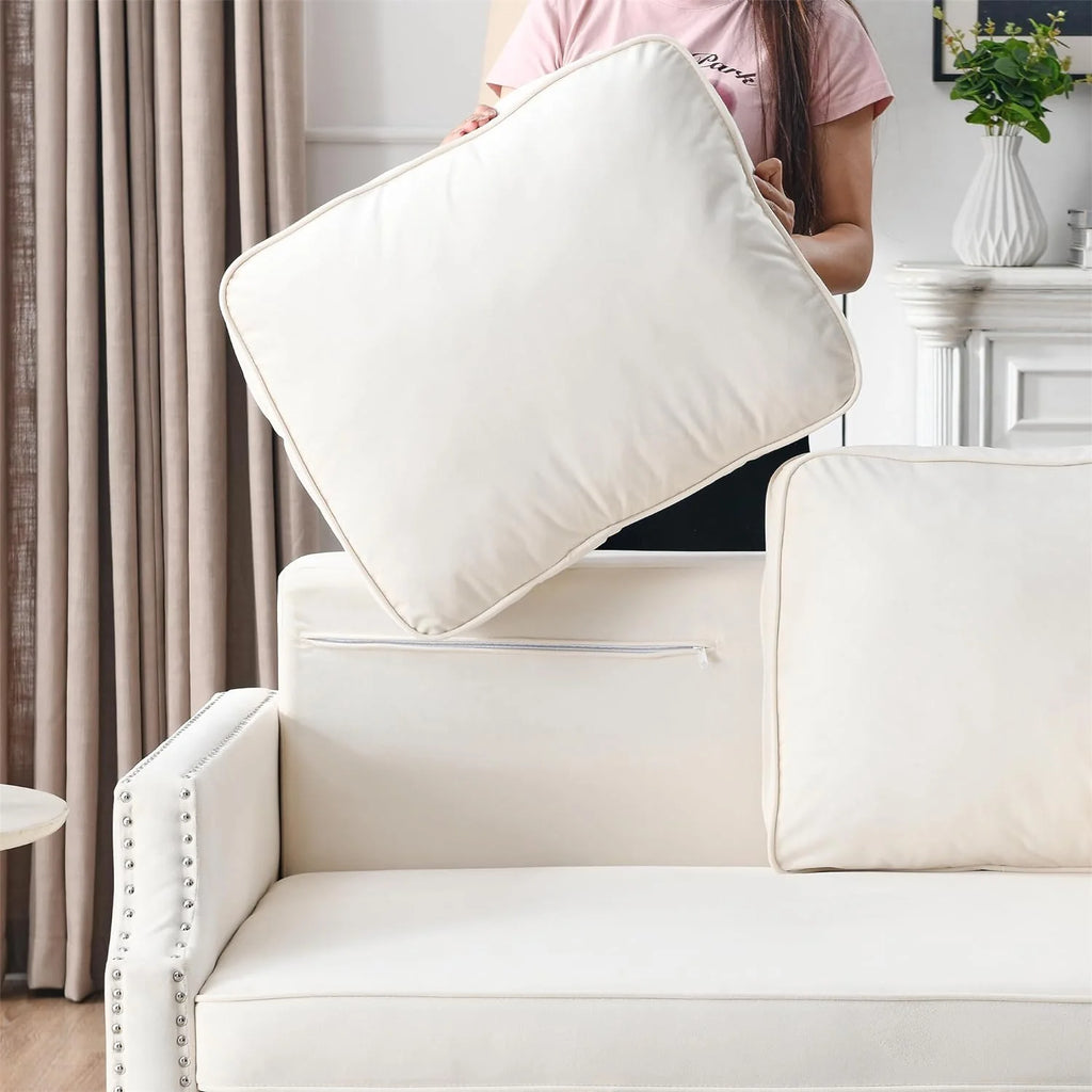 Velvet Convertible Sleeper Sofa with Pull Out Bed U378543