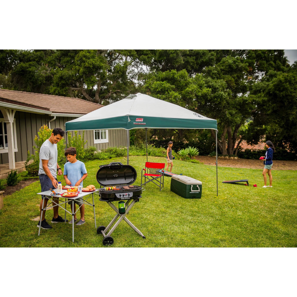 10 x 10 Tan Black Canopy Shelter N8246