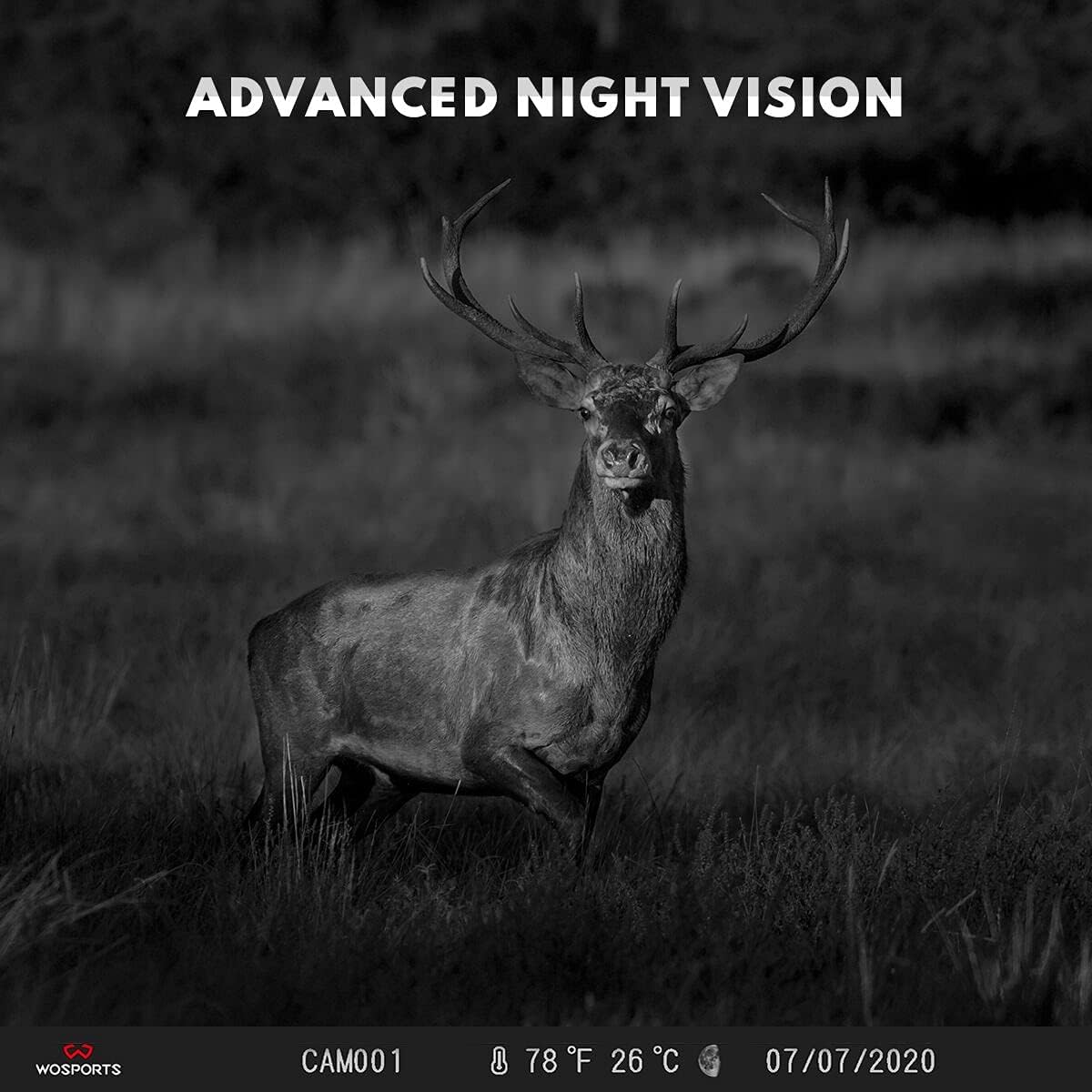 2 Pack Mini Trail Camera 1080P Waterproof N6807
