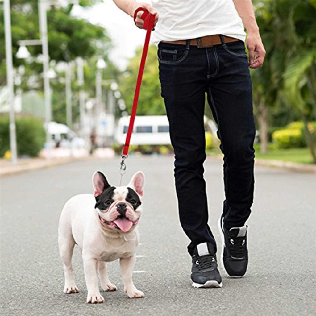 Long Lead Leash L47798