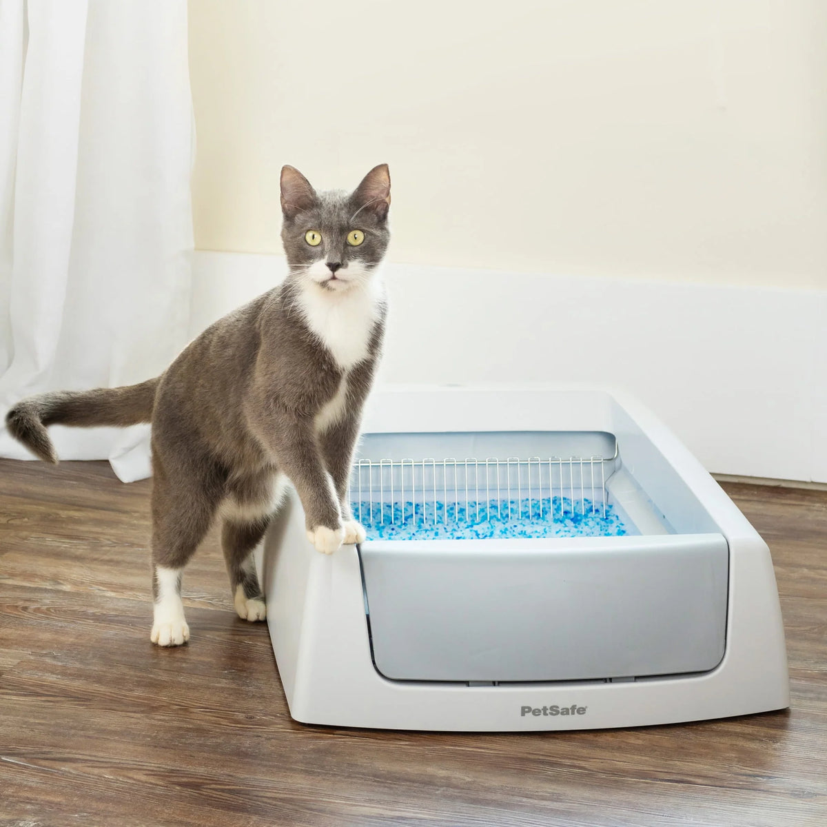 Gray Self-Cleaning Cat Litter Box W8975