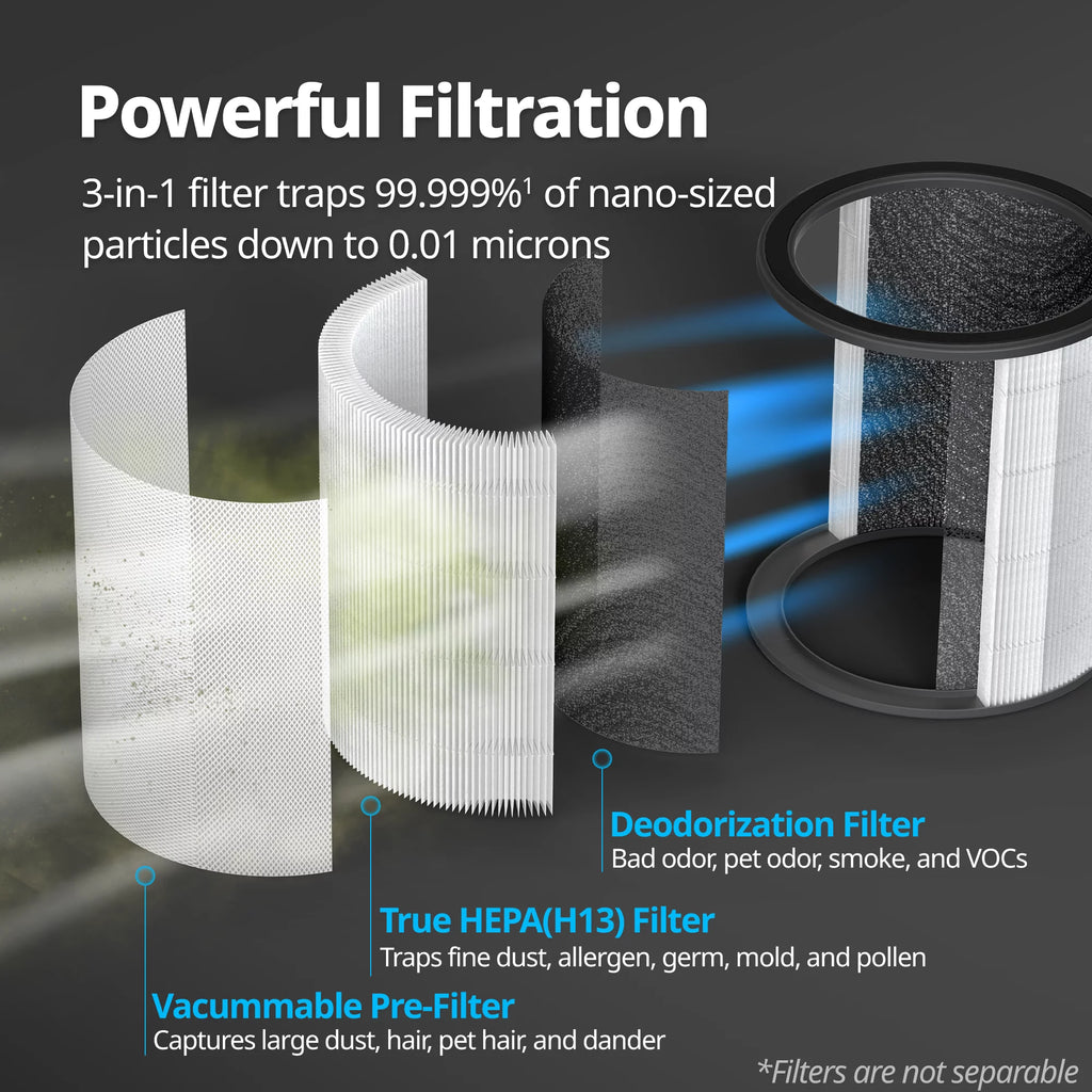 True HEPA Air Purifier + Fan (2in1), Covers Upto 246 sq ft I256