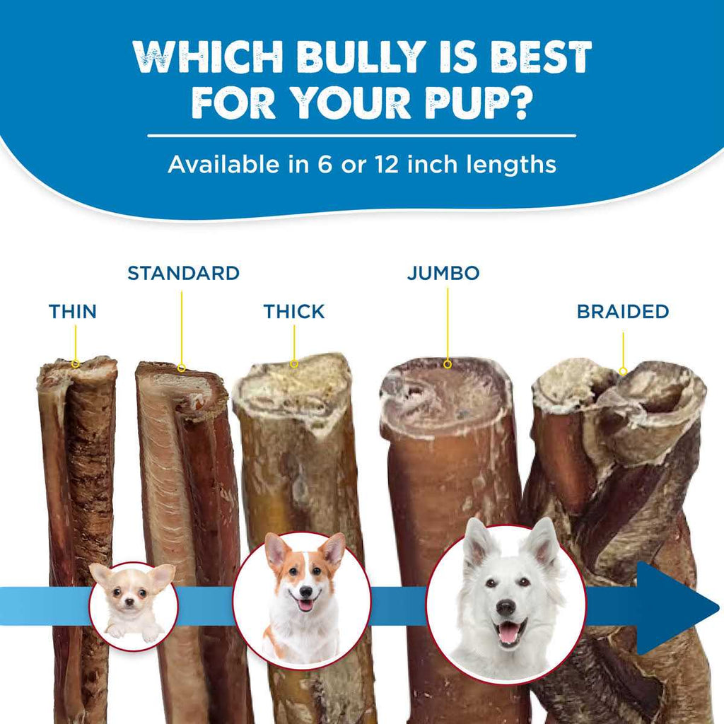 All-Natural Bully Sticks for Dogs O190