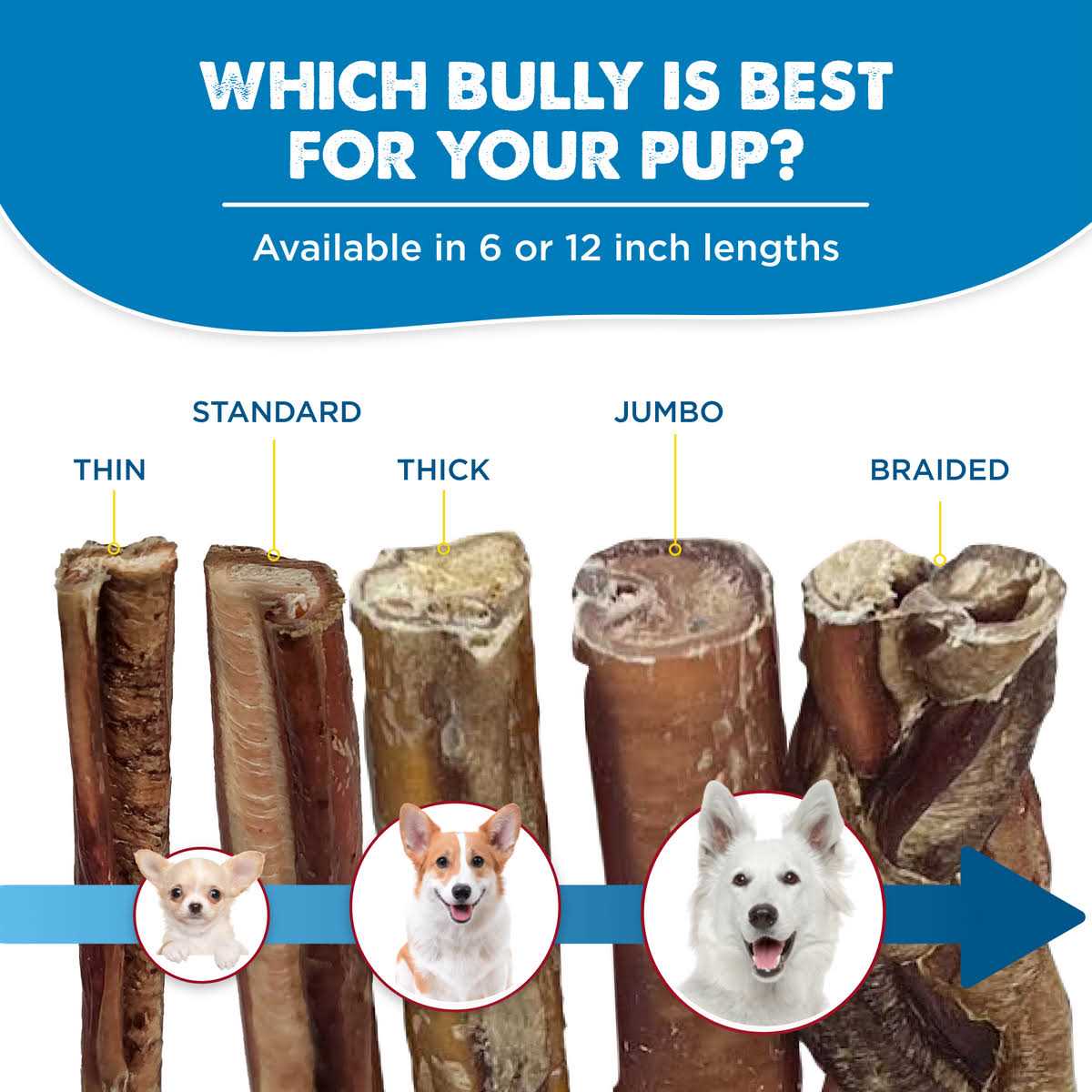 All-Natural Bully Sticks for Dogs O190
