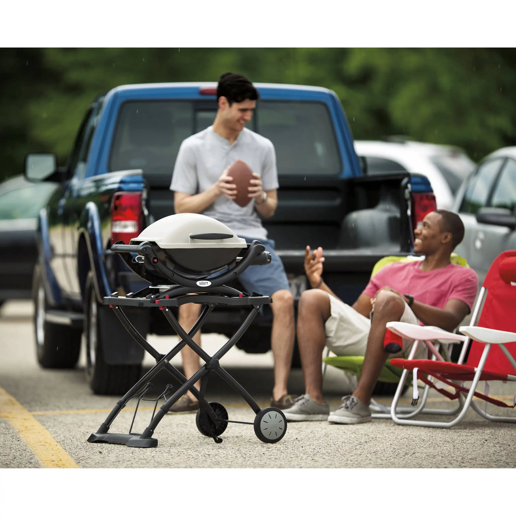 Portable Gas Grill Q72355