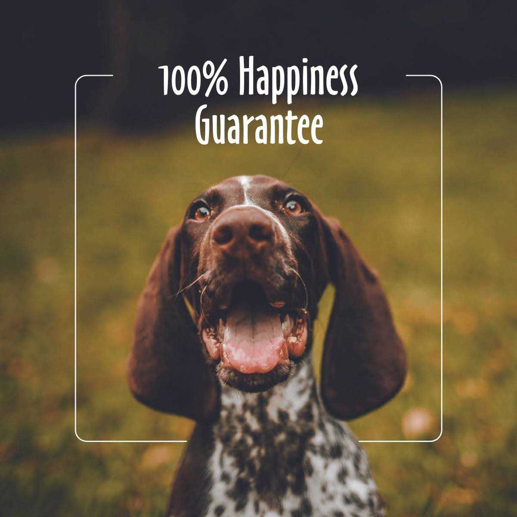 Facial Wipes for Dogs & Cats W6324