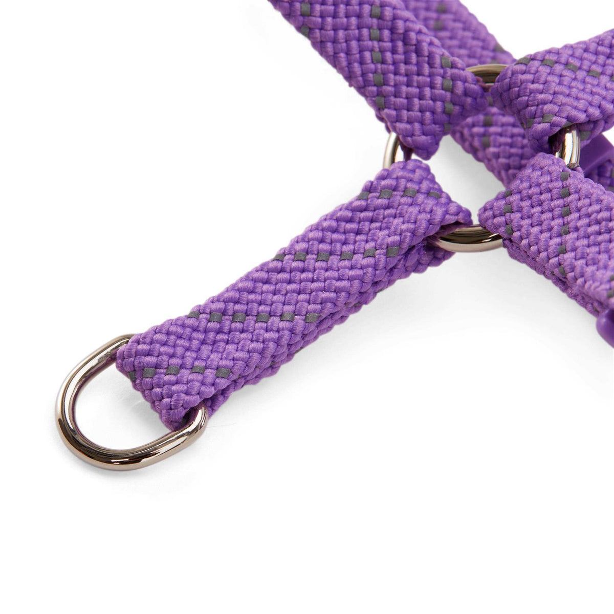 Reflective Purple Cat Harness E12524