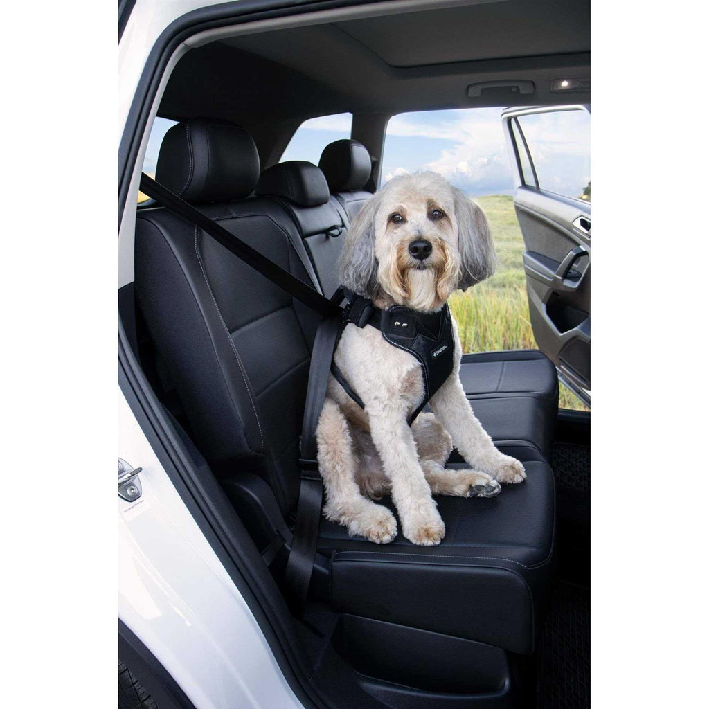 Sherpa Crash Tested Seatbelt Safety Harness D24685