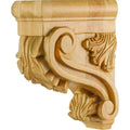 White Birch Bar Bracket G89394
