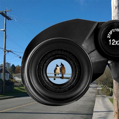 12x25 Compact Waterproof Binoculars with Low Light Vision M32938