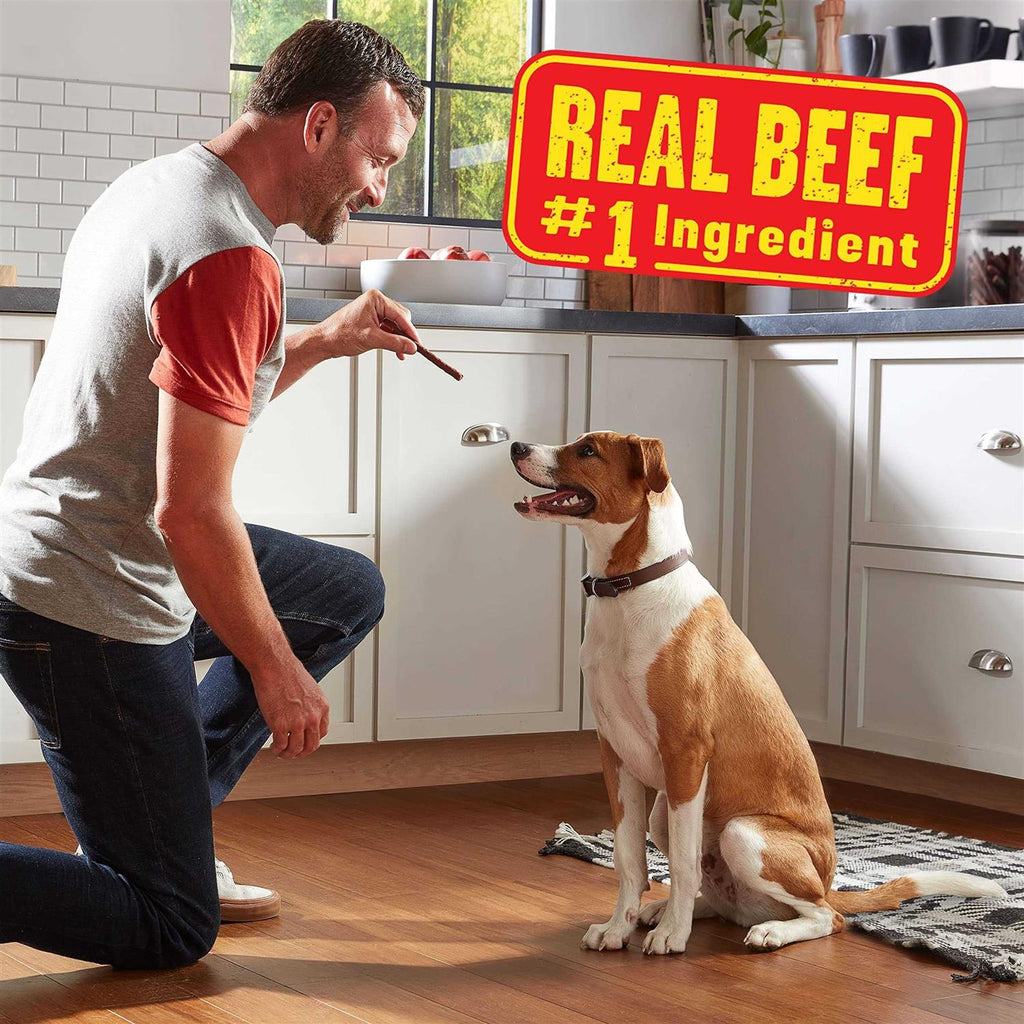 Dog W8319