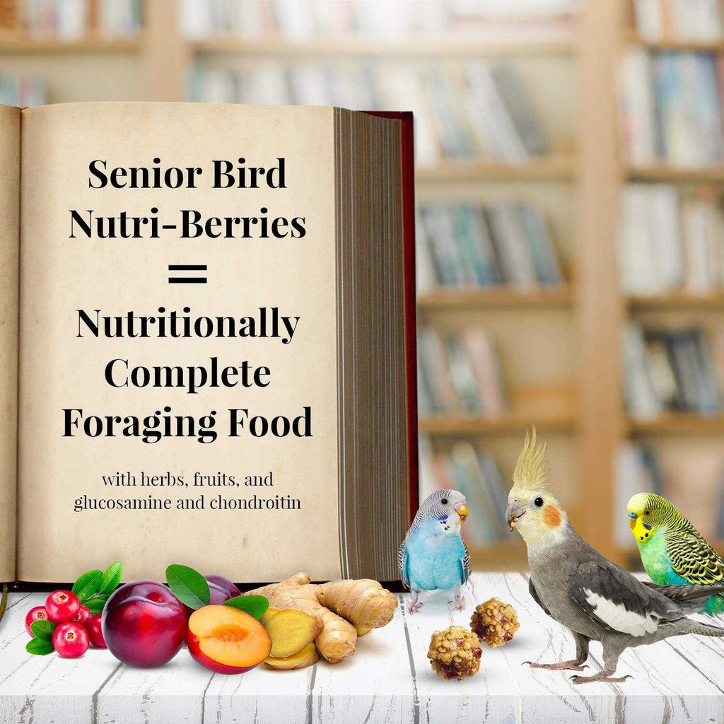 Senior Bird Nutri Berries Parrot Food N89956