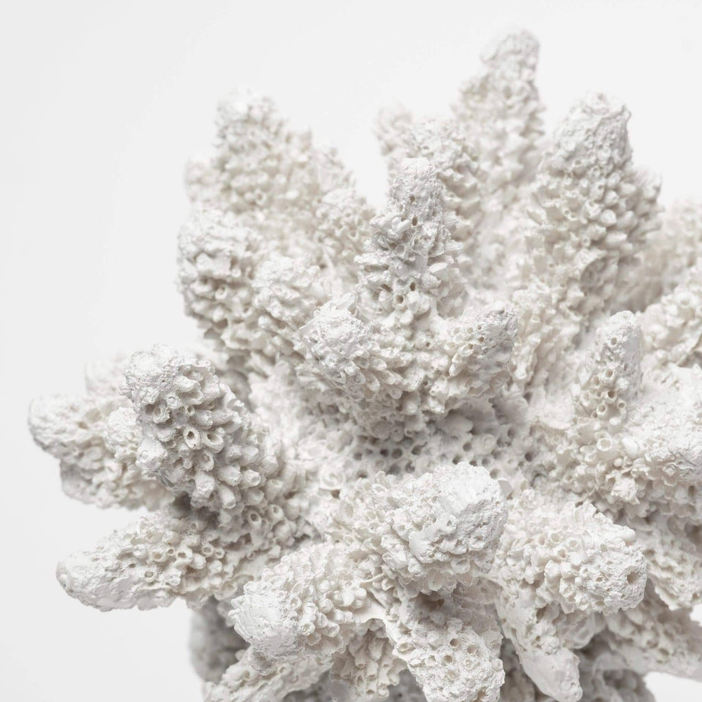 Small Coastal Decorative Object E582523