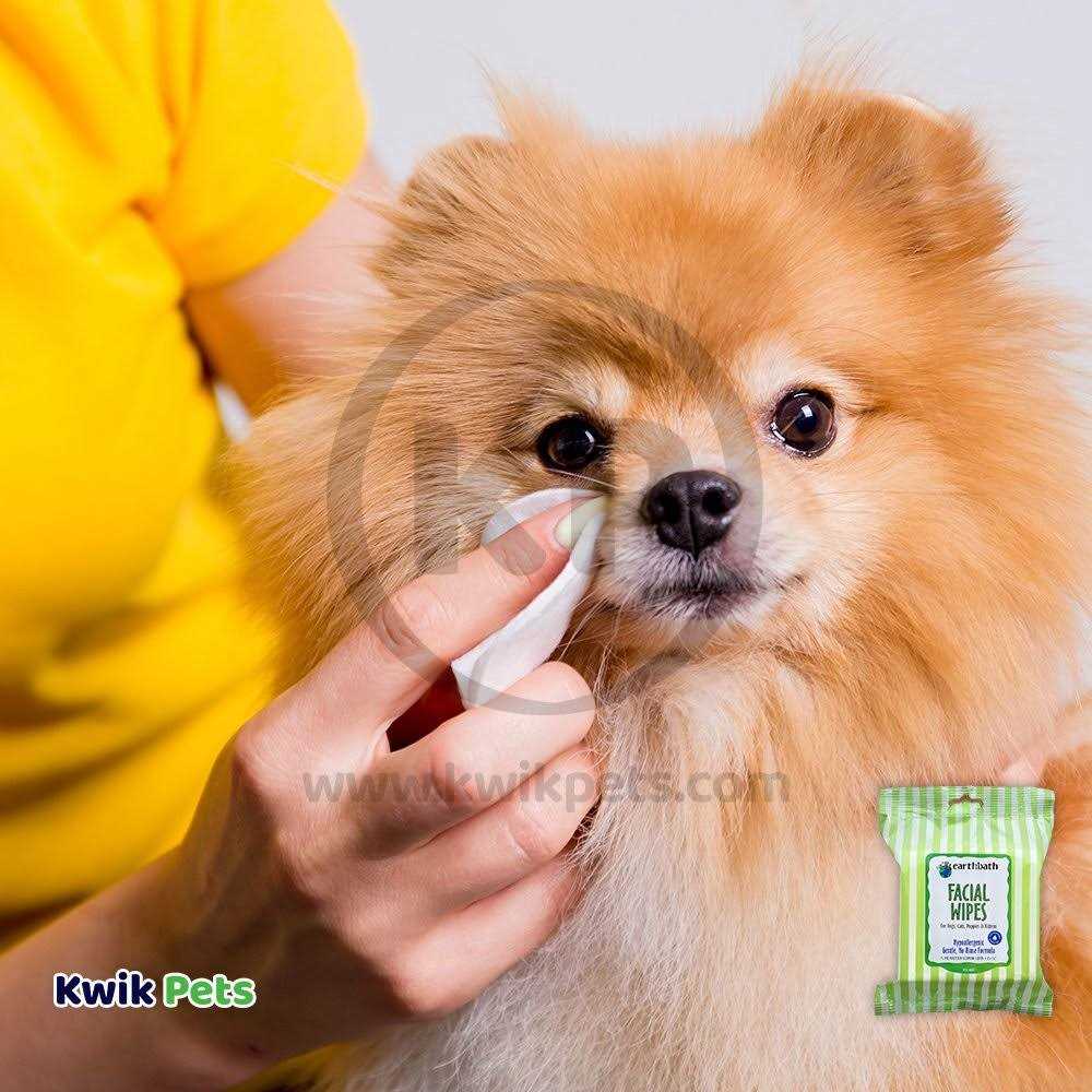 Facial Wipes for Dogs & Cats W6324