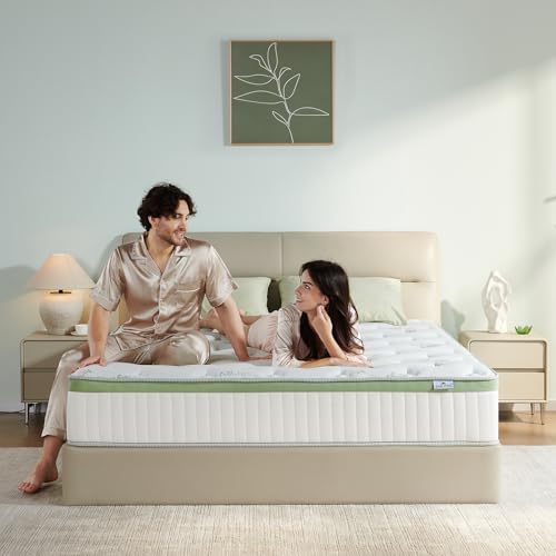 12 Inch Full Size Memory Foam Hybrid Mattress D701