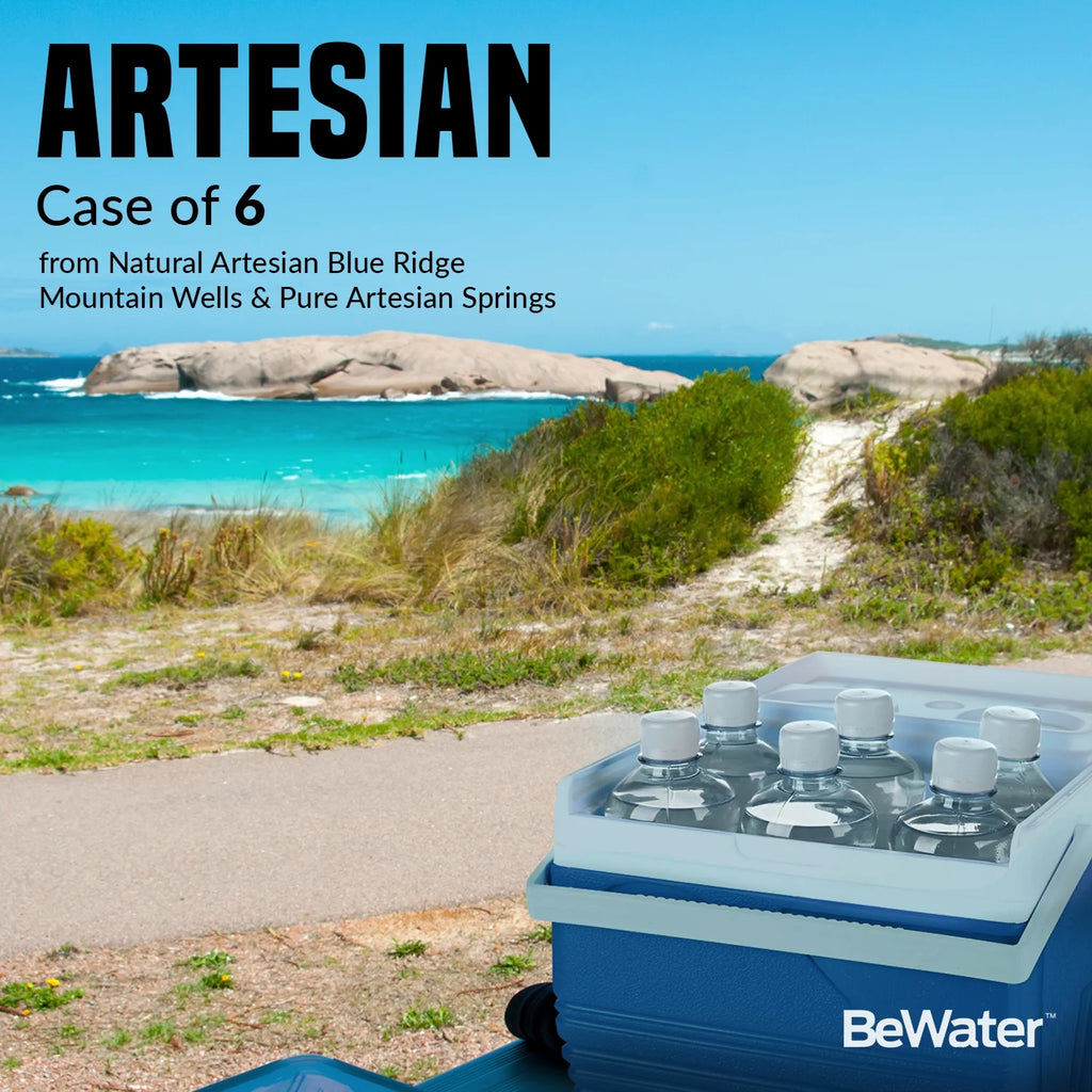 4 cases of 6 Natural Artesian Spring Bottled Drinking Water H100597