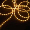 100 ft White Wire Christmas Rope Lights X1398