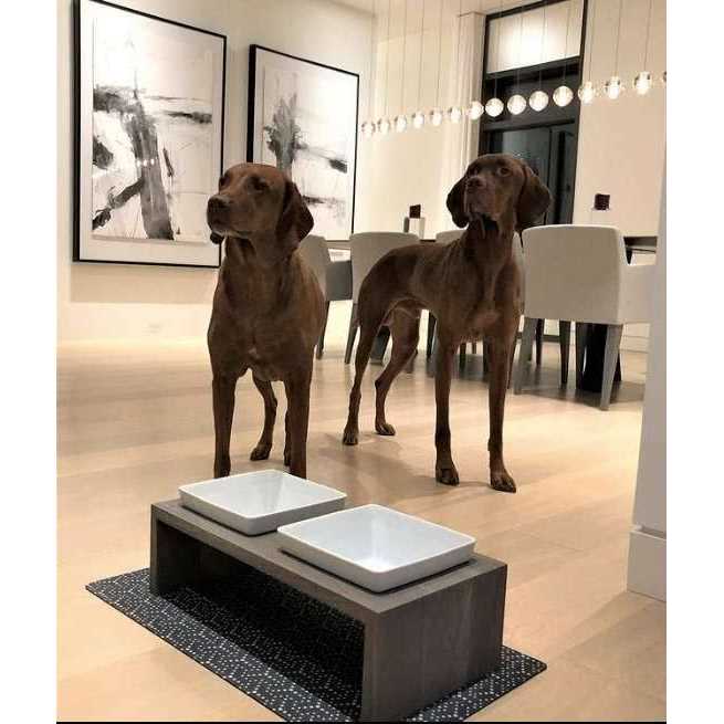 Double Dog Feeder F55887
