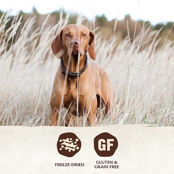 Dog Food Topper A540