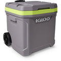 60 qt Roller Cooler Gray C6072