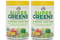 Organic Super Greens Apple Banana Powder Smoothie Drink Mix 2 Pack R6674
