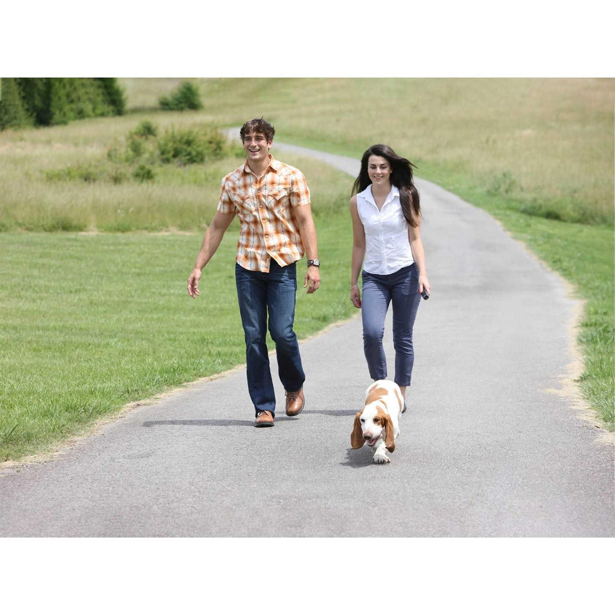 Ultrasonic Remote Dog Trainer R500