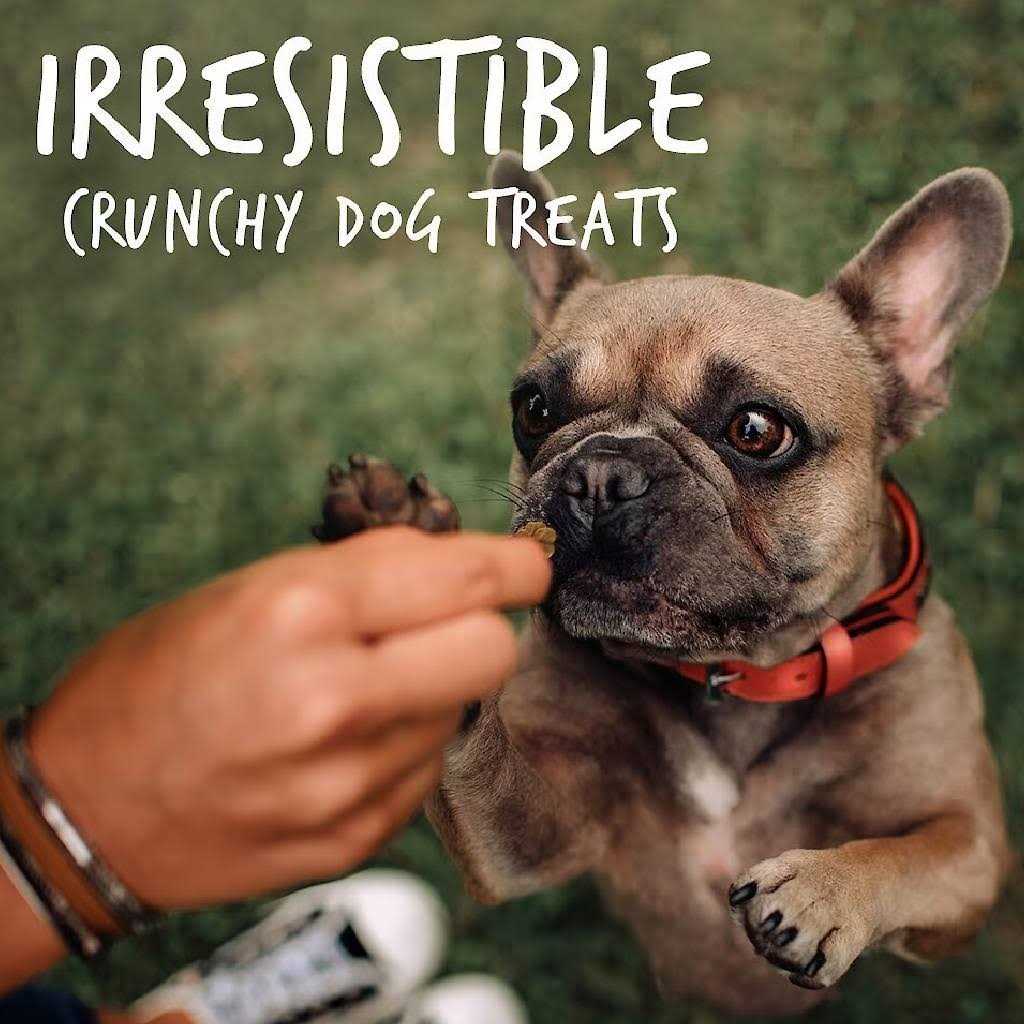 Crispy Bacon Apple Dog Treats J896