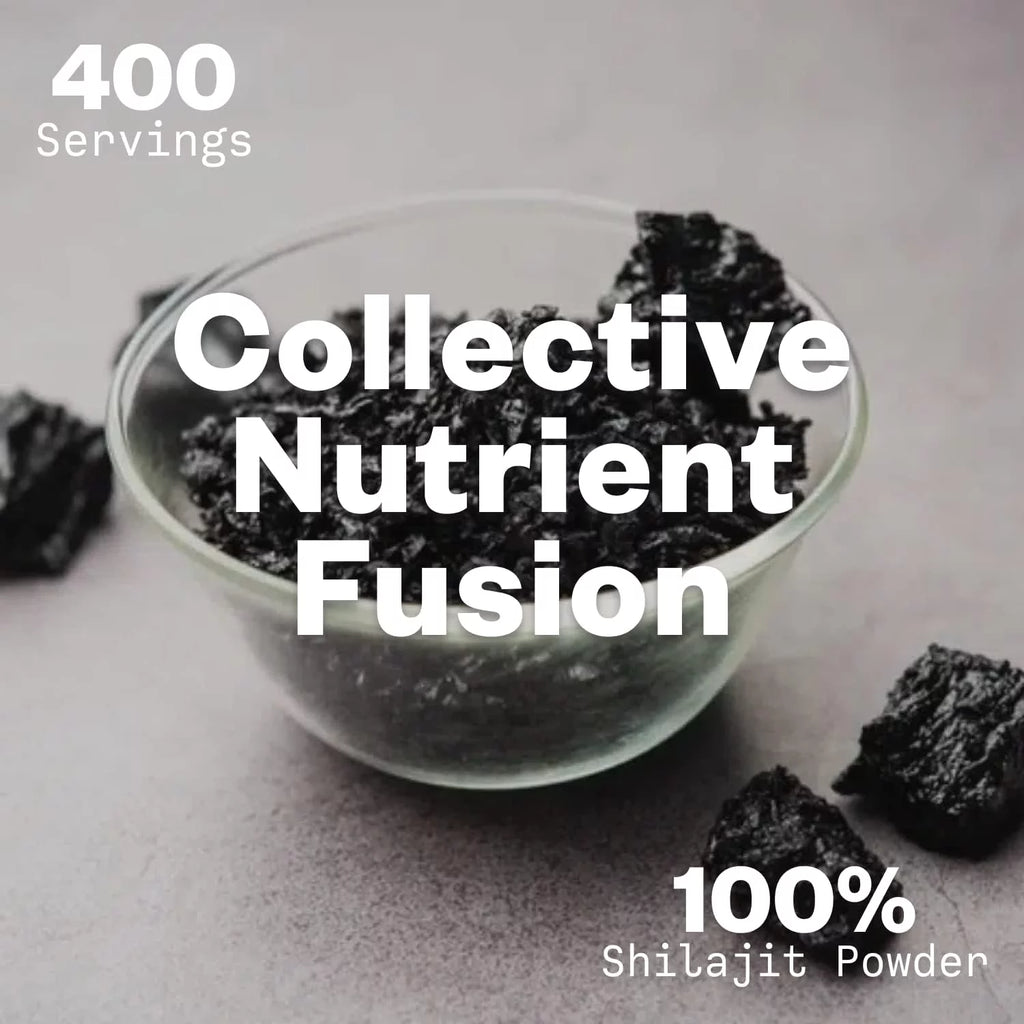 Shilajit Powder 12:1 Extract 100g T151